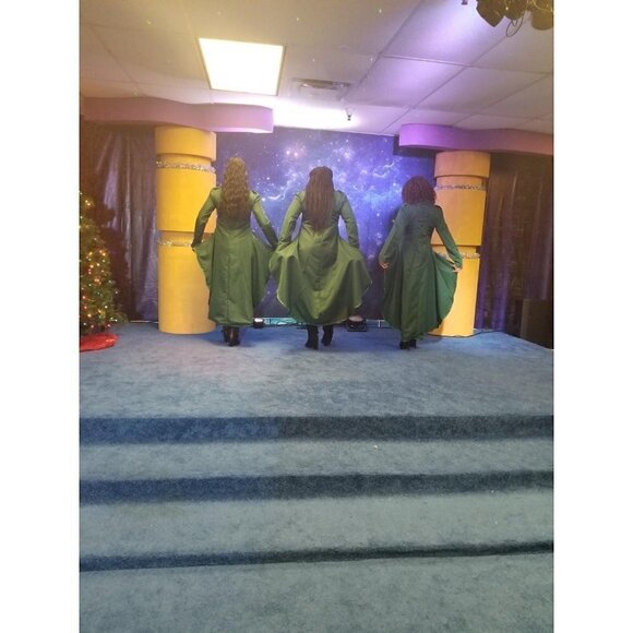 STEAMPUNK Victorian Swallow Tail Long Trench Coat Jacket Green Cosplay Punk NWT - Picture 6 of 7